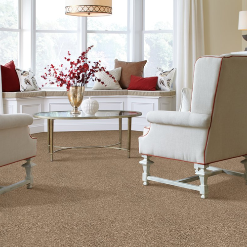 Valley Floor Covering providing stain-resistant pet proof carpet in Naugatuck, CT Outstanding Idea- Montego
