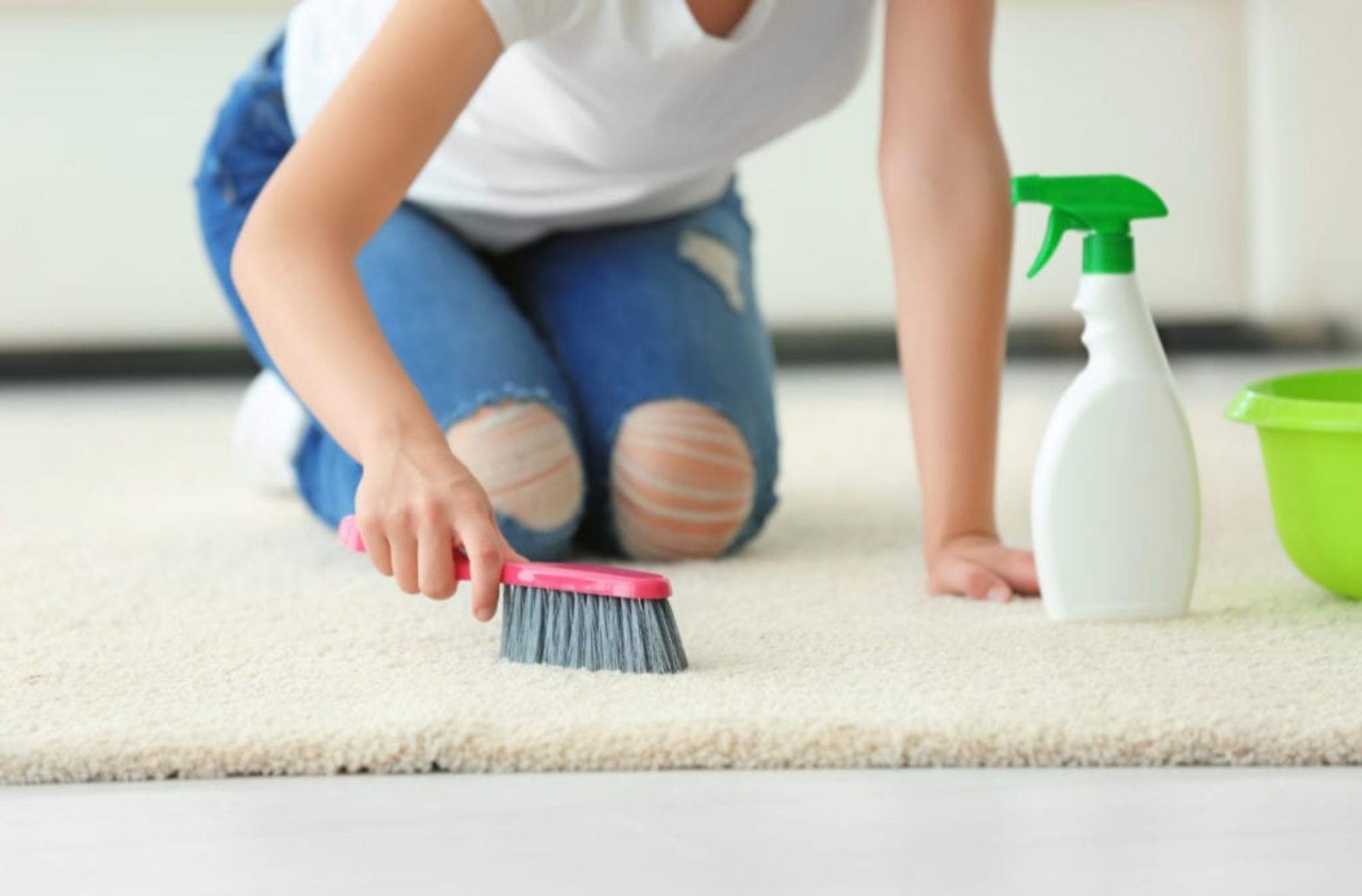 Woman cleaning carpet in a bright room